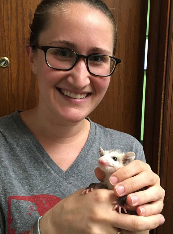 University of Michigan graduate student Lisa Walsh holding a 2-month-old opossum named Joey.