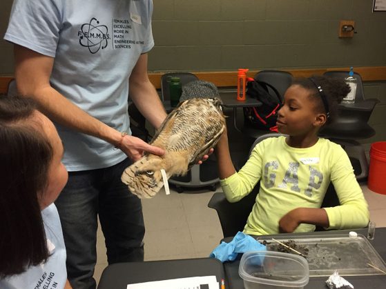 A student gets up close and personal with a great horned owl as part of the "Who Eats Whom?" activity by the Vandermeer and Perfecto labs. 
