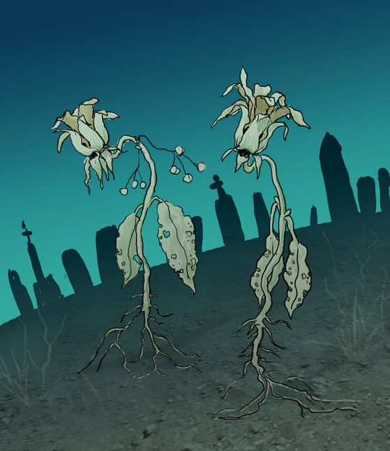 Illustration of zombie plants walking from a graveyard