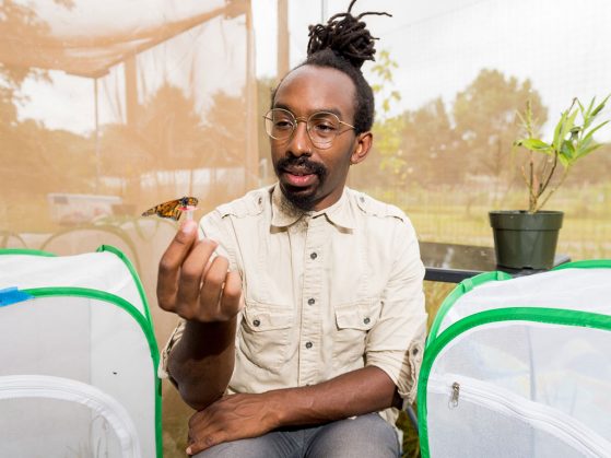 U-M biologist D. André Green holds a monarch butterfly in an outdoor insectary at the university’s Matthaei Botanical Gardens. 