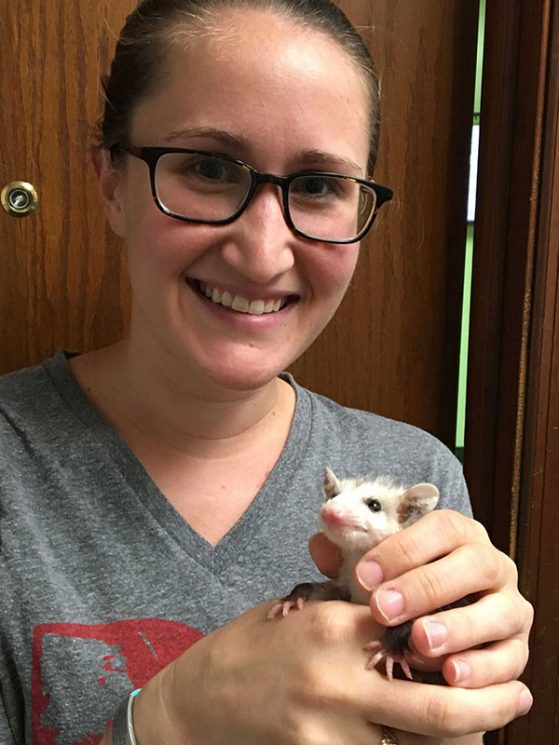 Graduate student Lisa Walsh holding a 2-month-old opossum named Joey